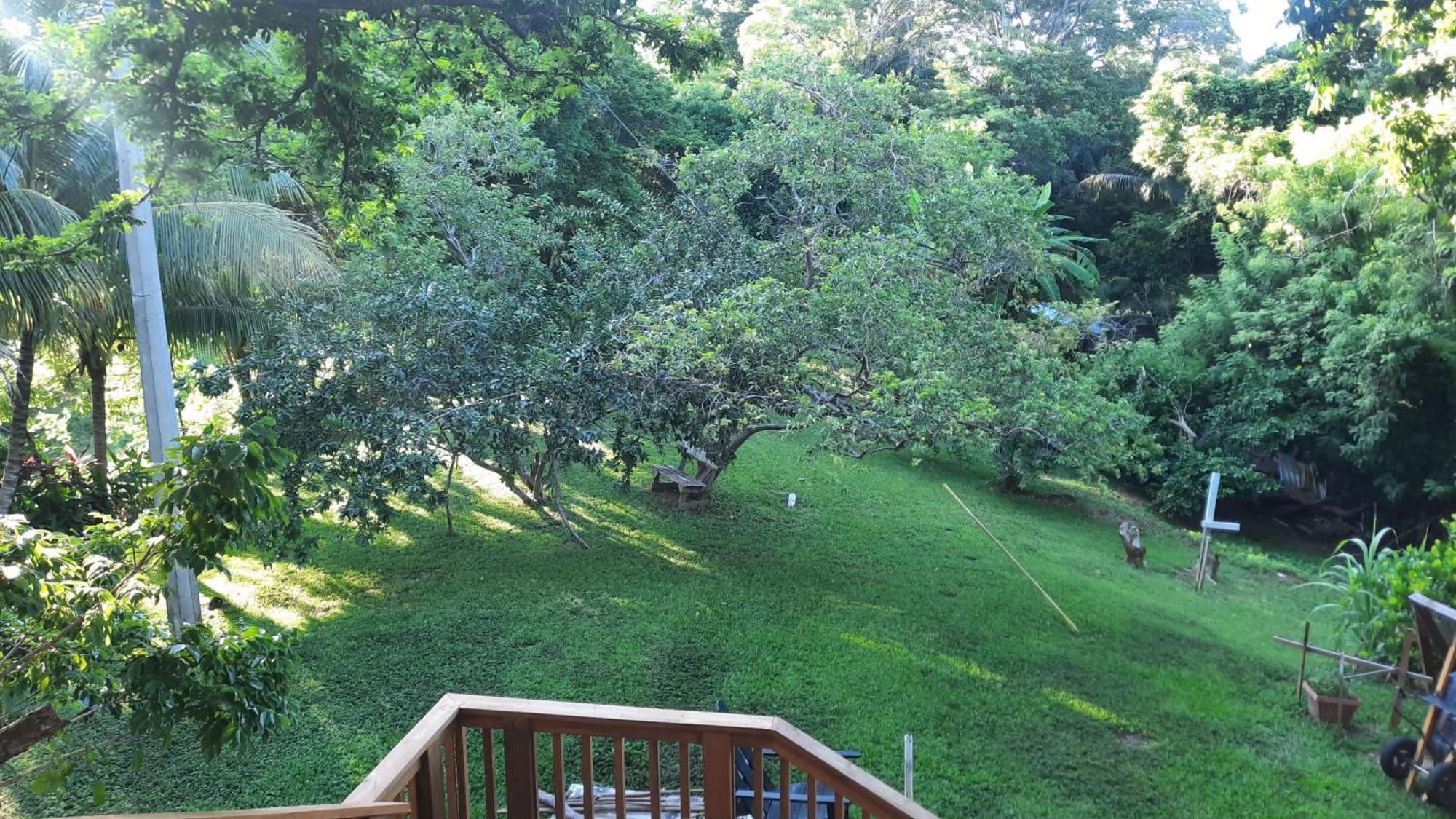 Guava Grove Resort & Villas Sandy Bay Екстер'єр фото